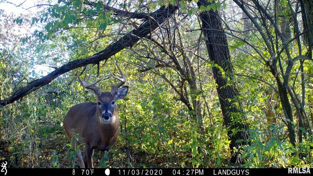 $1,715,500 | 1669 Sherwood Road, Dahinda, IL 61428