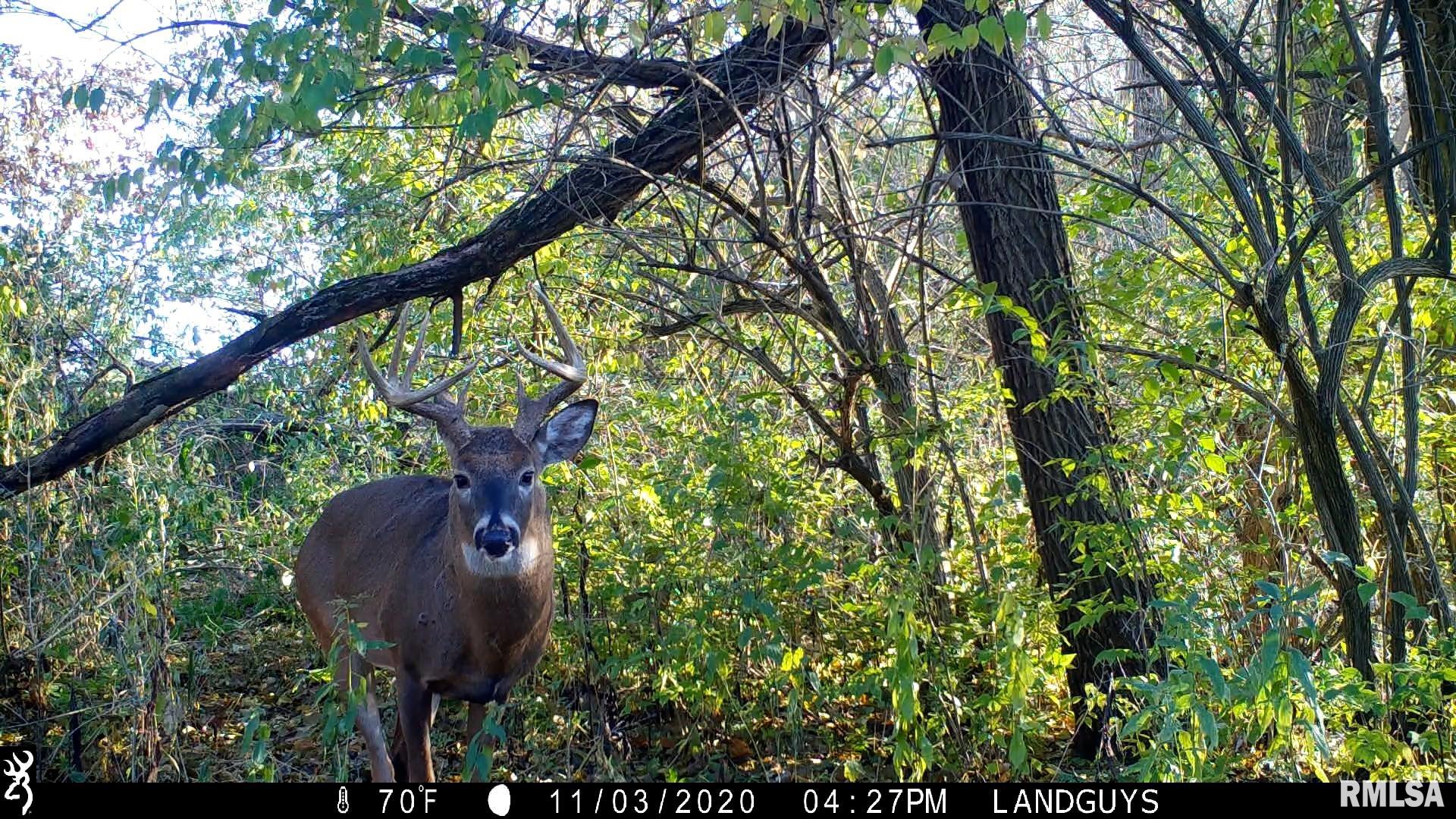 1669 Sherwood Road, Unit 4331 Dahinda, IL 61428 - Photo 58 of 76