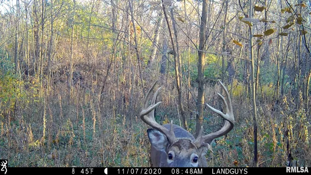 $1,715,500 | 1669 Sherwood Road, Dahinda, IL 61428