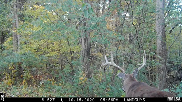 $1,715,500 | 1669 Sherwood Road, Dahinda, IL 61428