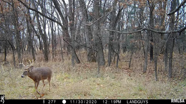 $1,715,500 | 1669 Sherwood Road, Dahinda, IL 61428