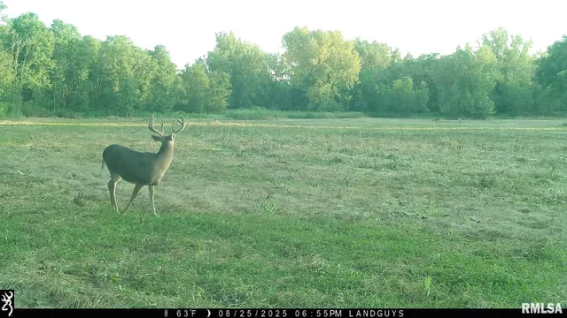 $1,715,500 | 1669 Sherwood Road, Dahinda, IL 61428