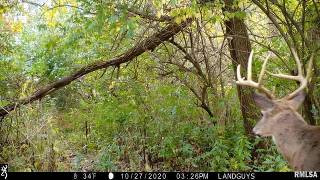 $1,715,500 | 1669 Sherwood Road, Dahinda, IL 61428