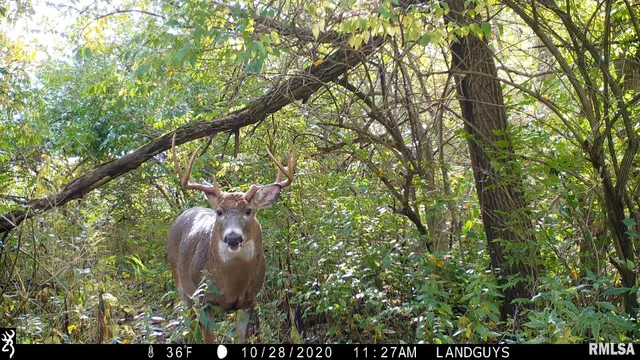 $1,715,500 | 1669 Sherwood Road, Dahinda, IL 61428