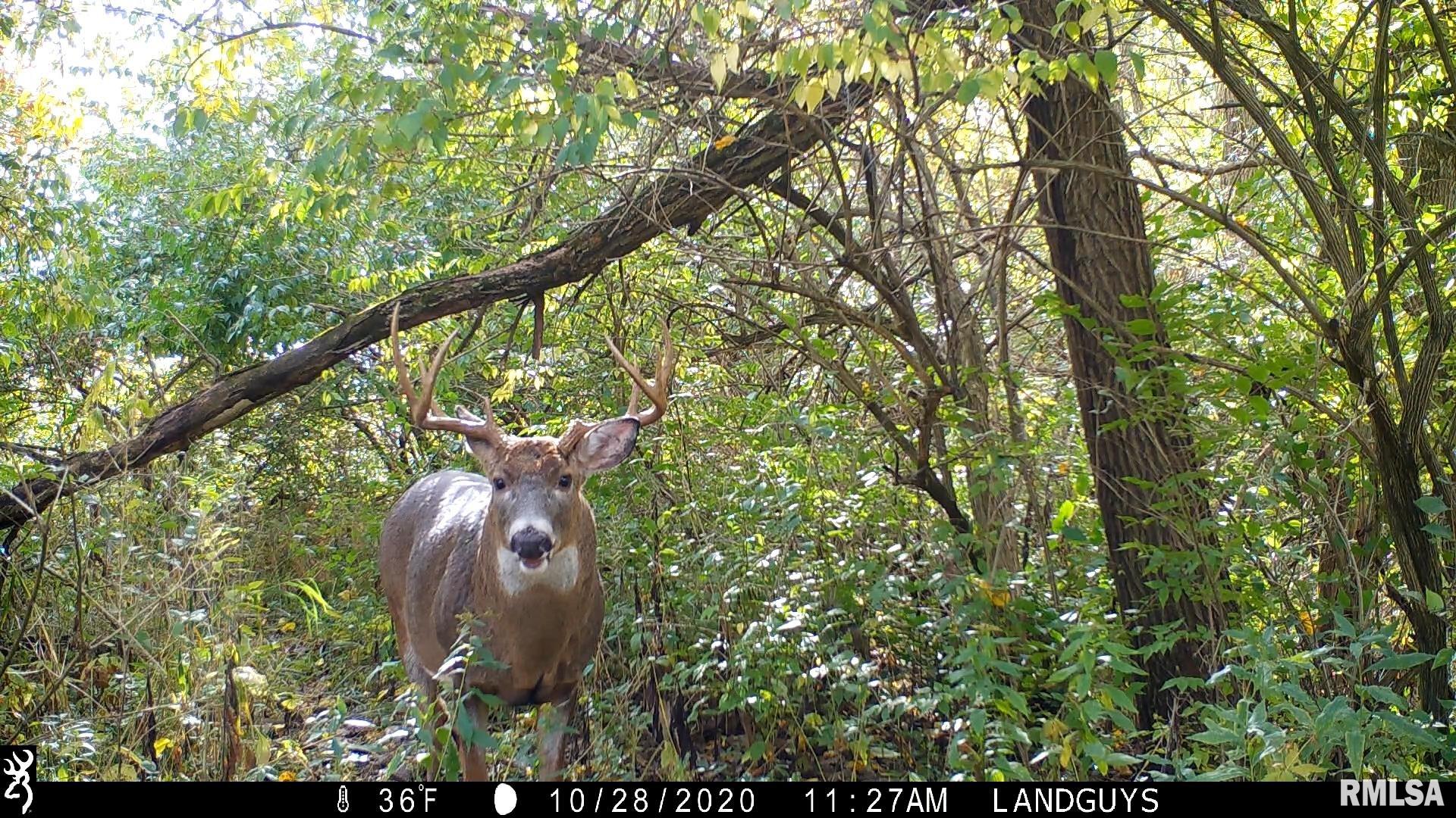 1669 Sherwood Road, Unit 4331 Dahinda, IL 61428 - Photo 65 of 76