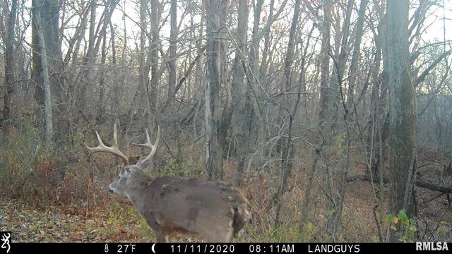 $1,715,500 | 1669 Sherwood Road, Dahinda, IL 61428