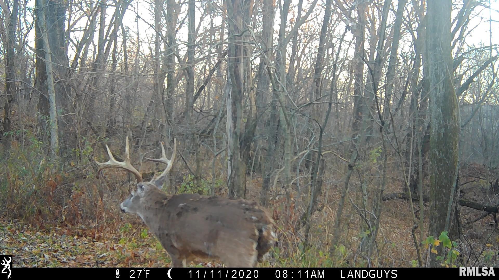 1669 Sherwood Road, Unit 4331 Dahinda, IL 61428 - Photo 66 of 76