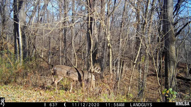 $1,715,500 | 1669 Sherwood Road, Dahinda, IL 61428