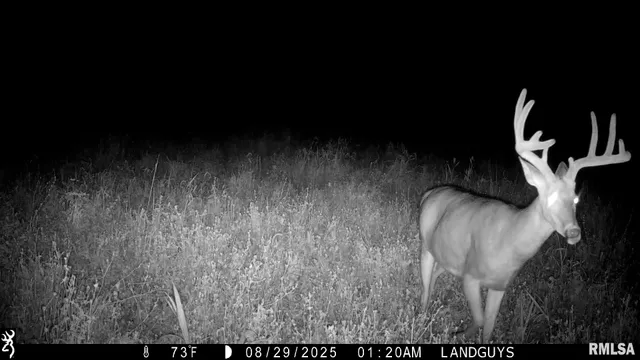 $1,715,500 | 1669 Sherwood Road, Dahinda, IL 61428