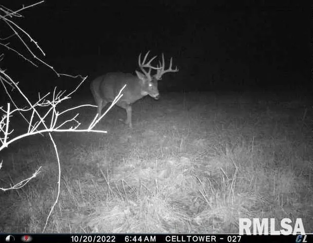 $1,715,500 | 1669 Sherwood Road, Dahinda, IL 61428