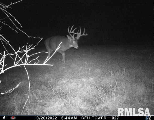 1669 Sherwood Road, Unit 4331 Dahinda, IL 61428 - Photo 72 of 76