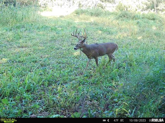 $1,715,500 | 1669 Sherwood Road, Dahinda, IL 61428