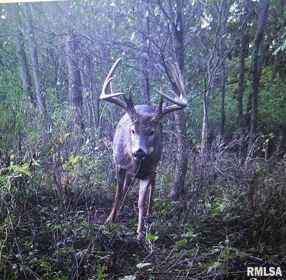 1669 Sherwood Road, Unit 4331 Dahinda, IL 61428 - Photo 75 of 76