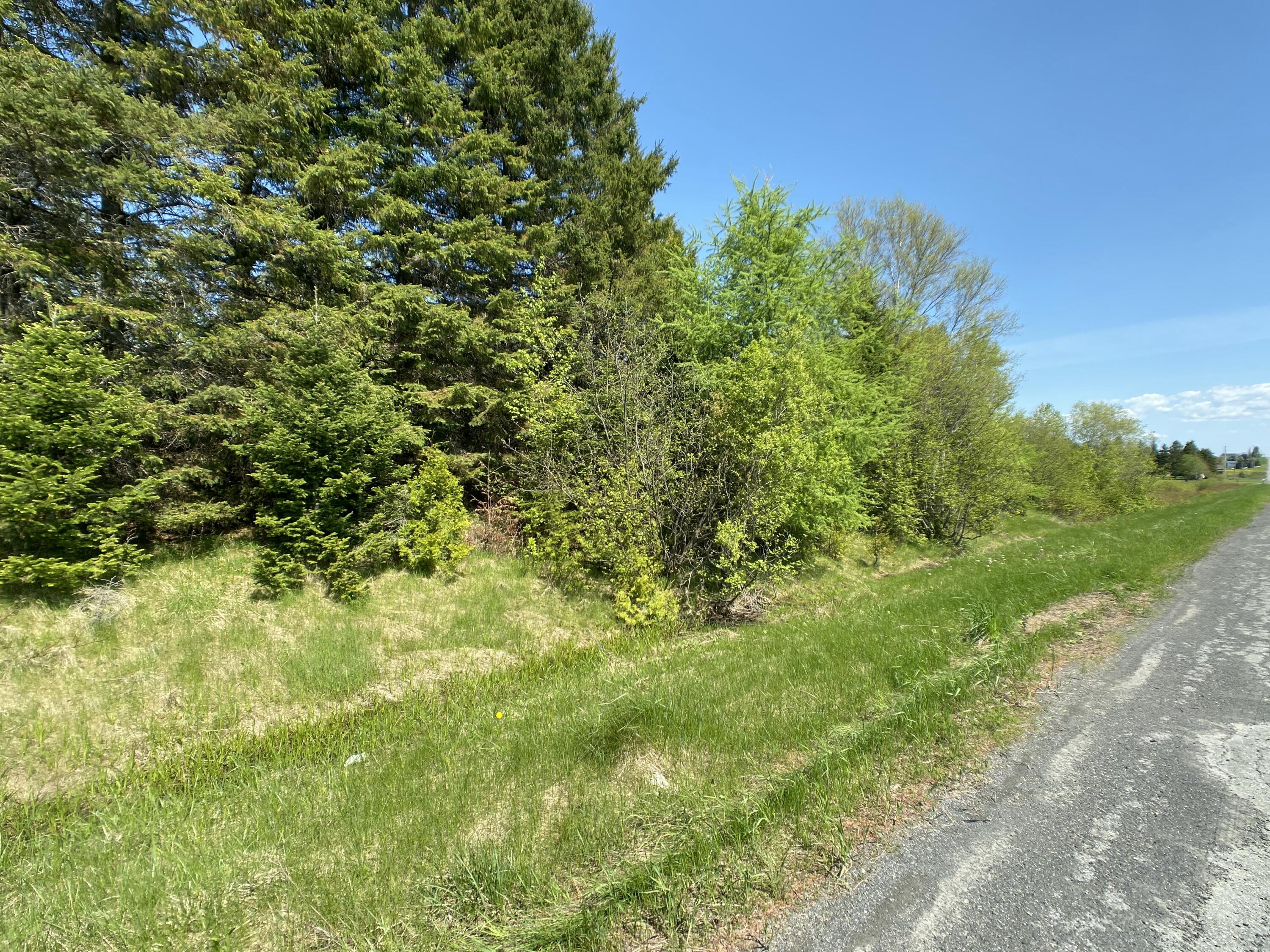 4-31 Caribou Road Van Buren, ME 04785 - Photo 2 of 19 IMG_7971