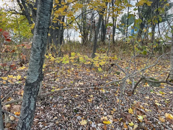 $28,000 | 34 Waverly Avenue, Pittsfield, ME 04967