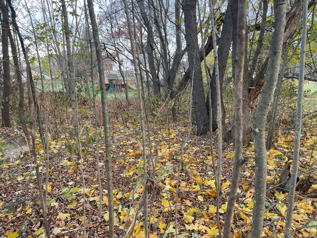 $28,000 | 34 Waverly Avenue, Pittsfield, ME 04967