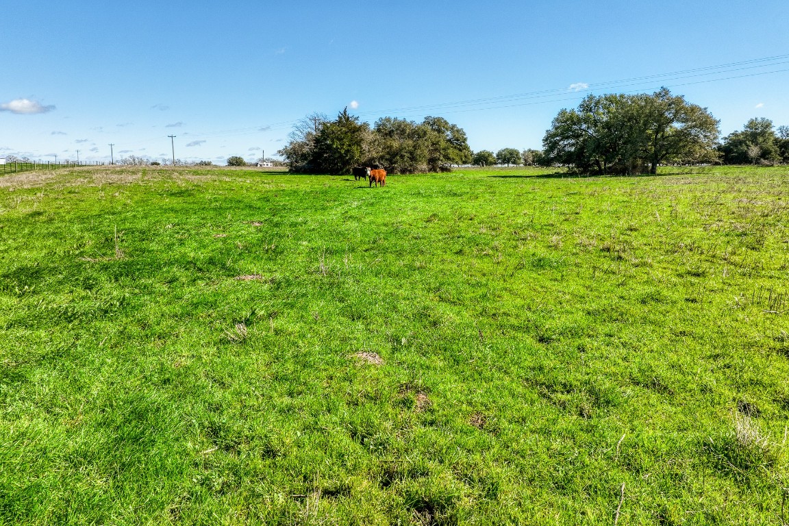 7260 Goehring Road Ledbetter, TX 78946 - Photo 5 of 7