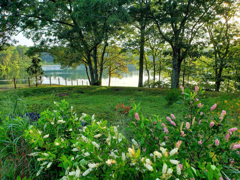 39 Tower Hill Road, Unit 5A Osterville, MA 02655 - Photo 19 of 22 AL_JoshuaPond_8.7-4