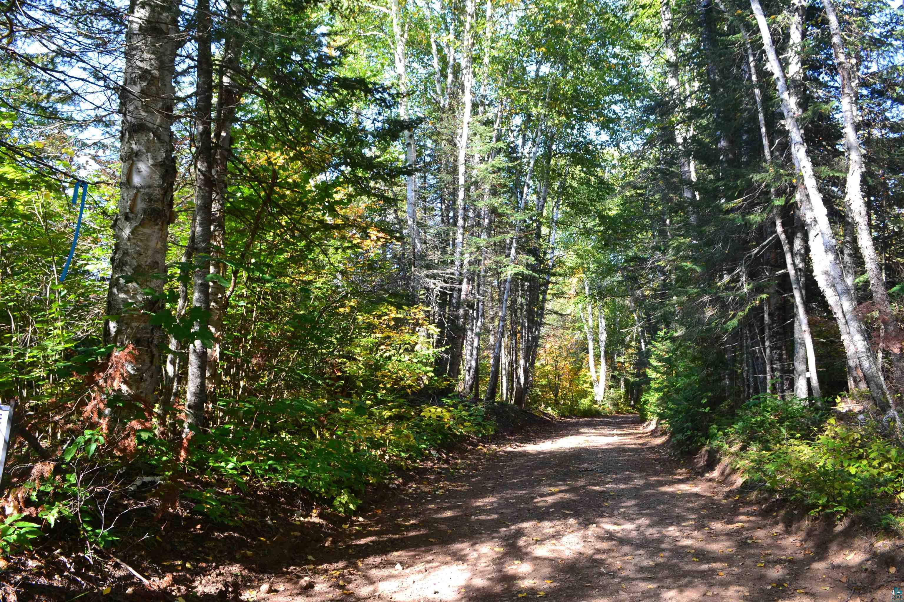 1 X Ward Lake Road Lutsen, MN 55612 - Photo 13 of 50 Gallery Image 13