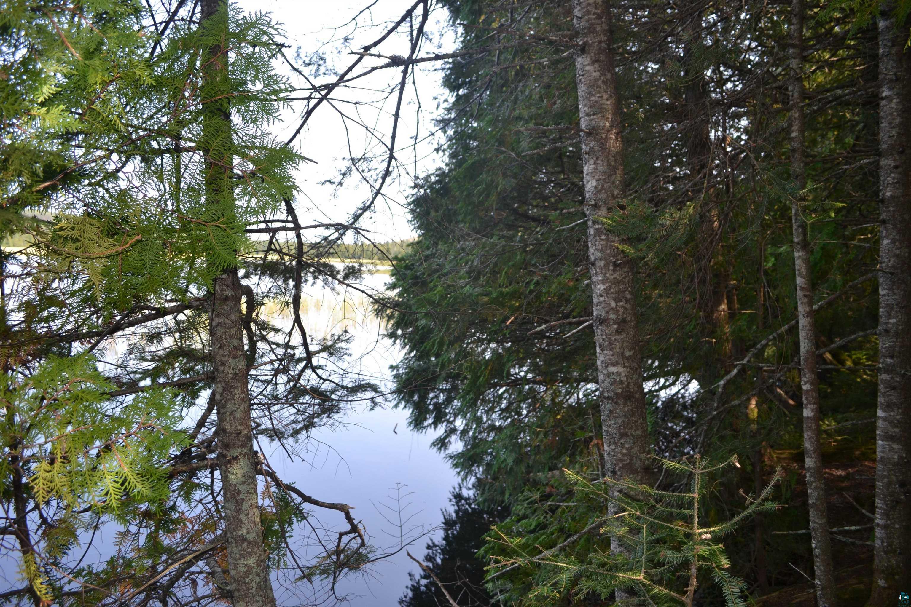 1 X Ward Lake Road Lutsen, MN 55612 - Photo 14 of 50 Gallery Image 14