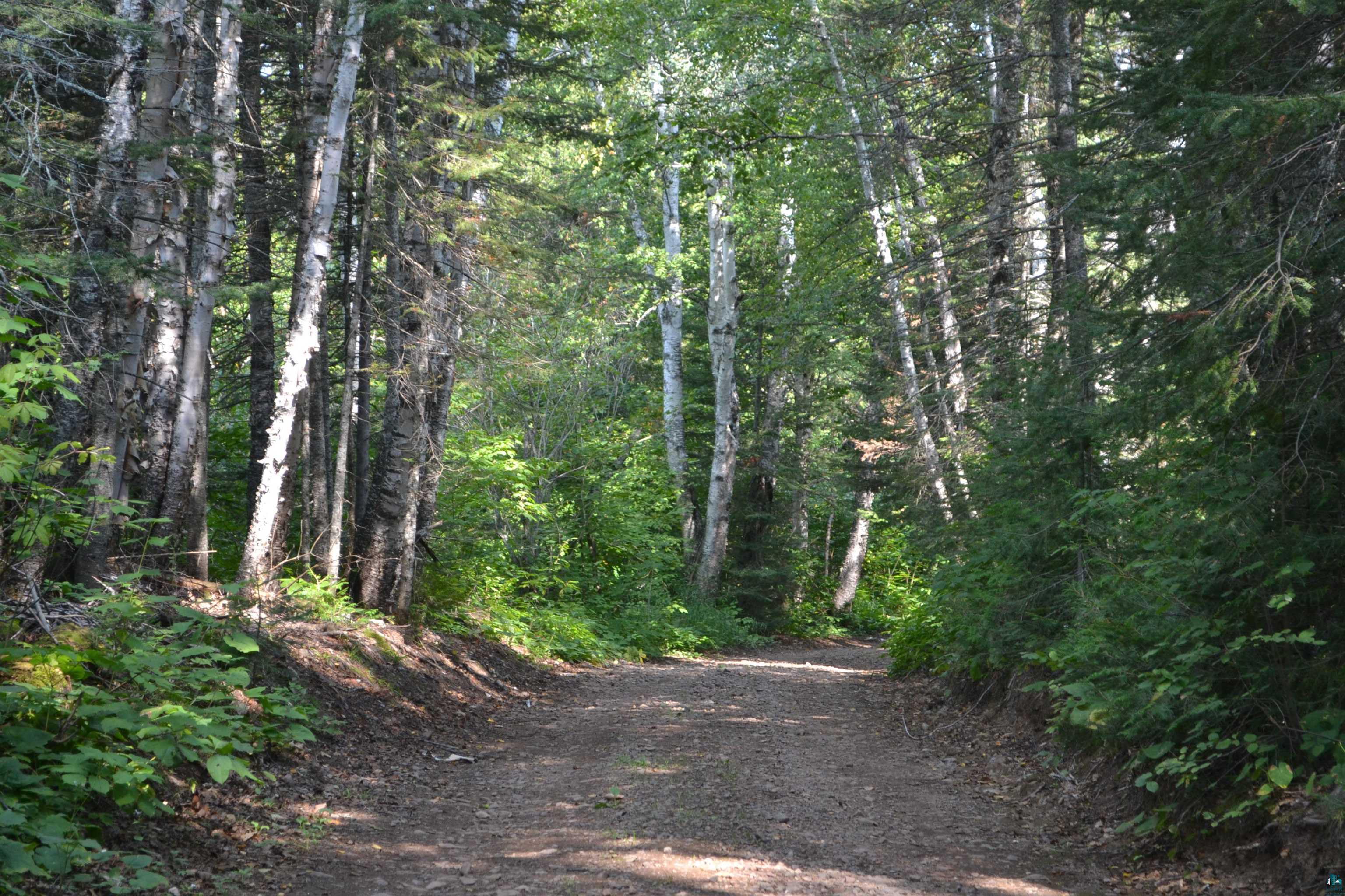 1 X Ward Lake Road Lutsen, MN 55612 - Photo 16 of 50 Gallery Image 16