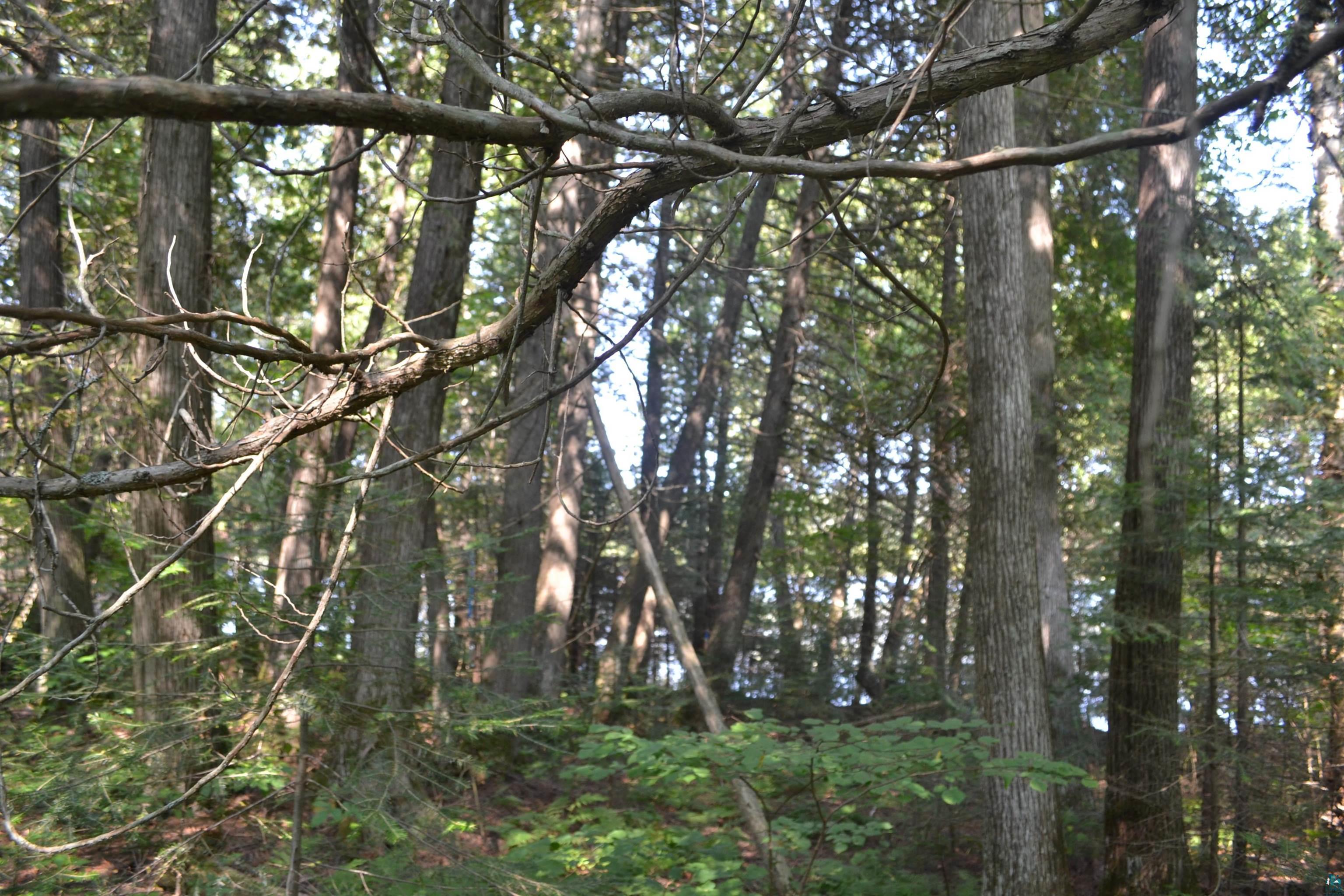 1 X Ward Lake Road Lutsen, MN 55612 - Photo 31 of 50 Gallery Image 31