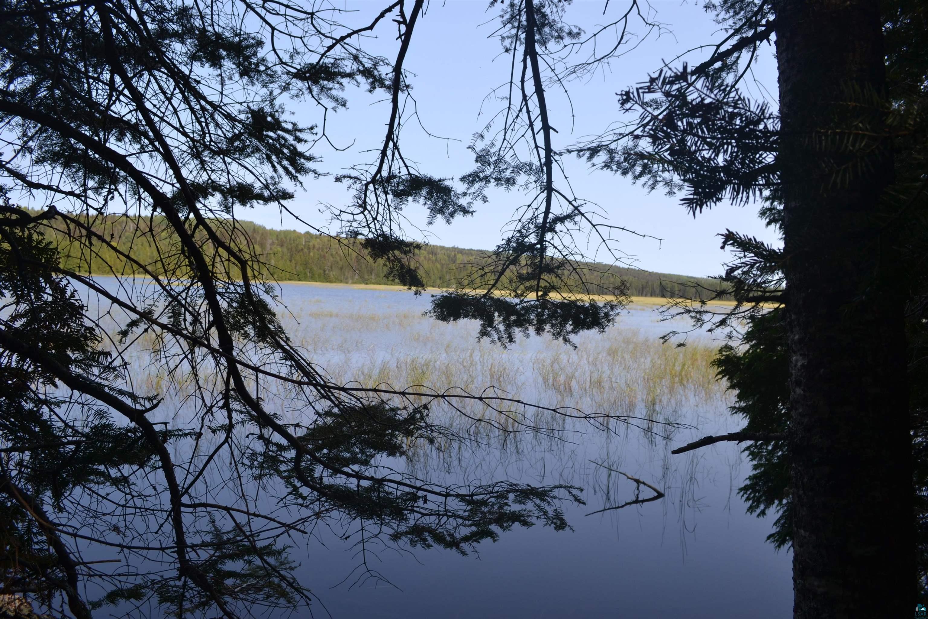 1 X Ward Lake Road Lutsen, MN 55612 - Photo 41 of 50 Gallery Image 41