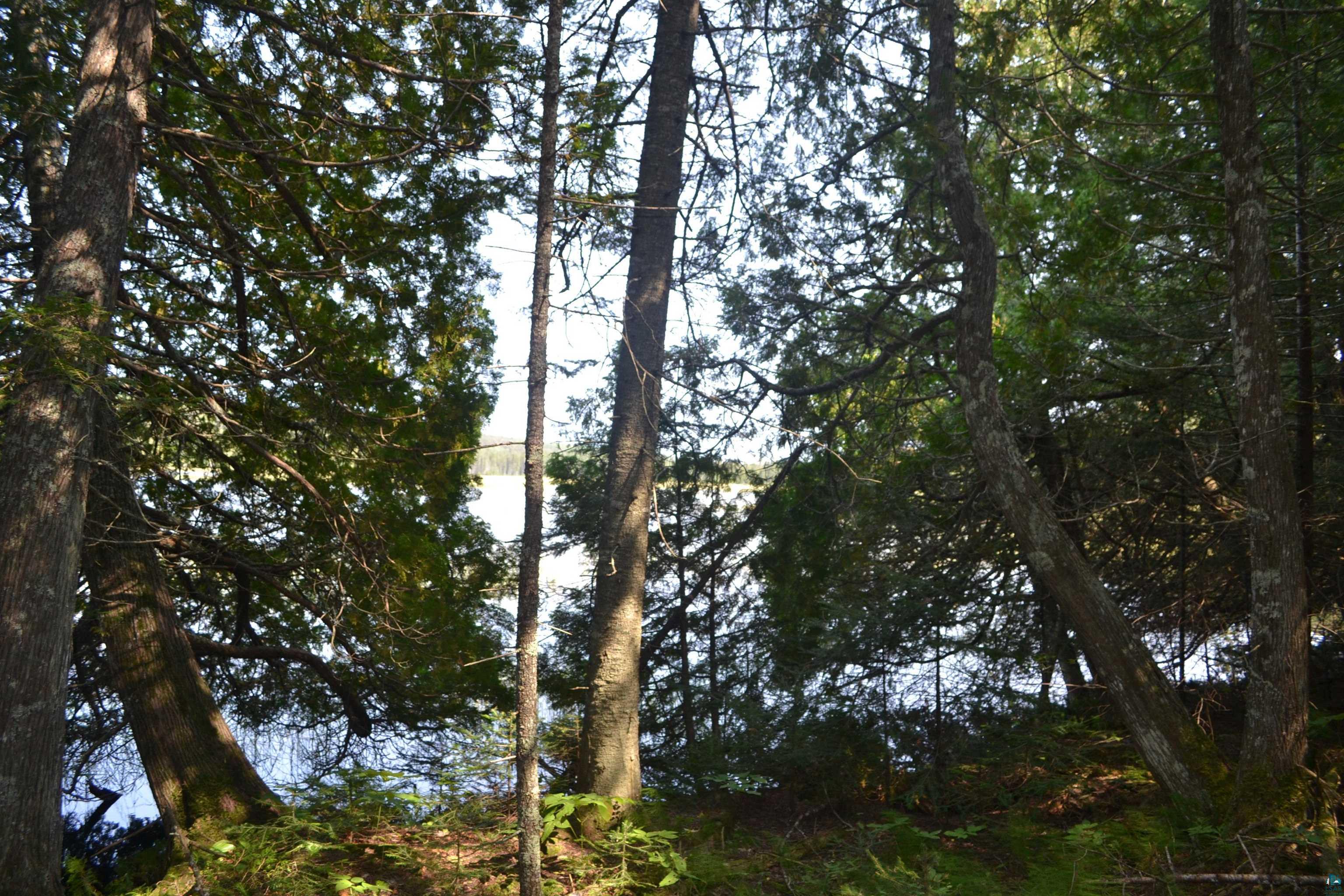 1 X Ward Lake Road Lutsen, MN 55612 - Photo 42 of 50 Gallery Image 42