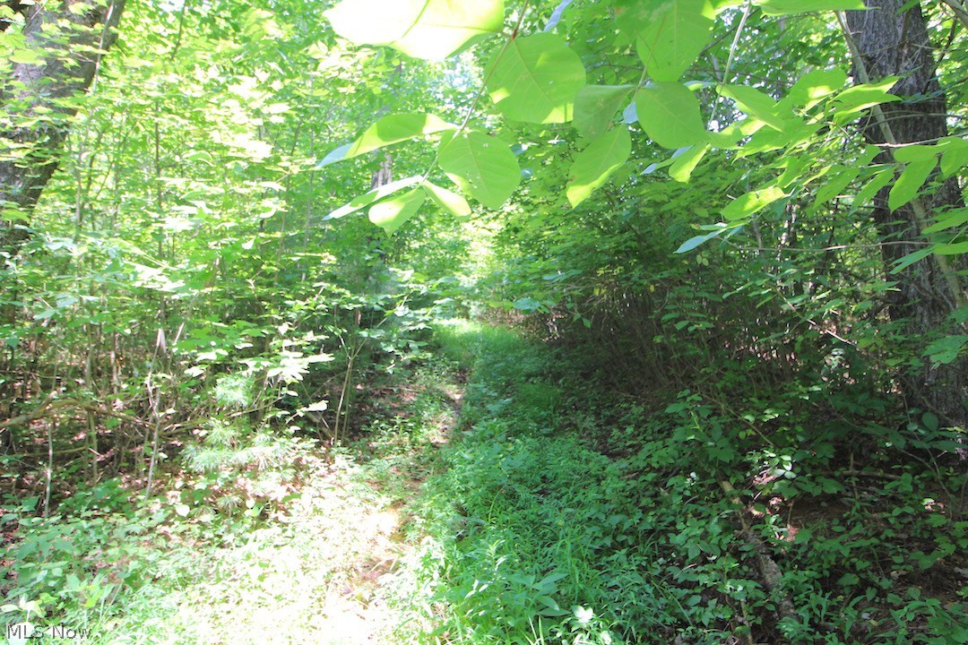 Mt Hope Ridge Rd Road Graysville, OH 45734 - Photo 6 of 35 Gallery Image 6
