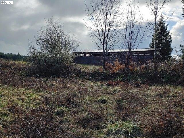0 Baldwin Road Camas Valley, OR 97416 - Photo 11 of 16