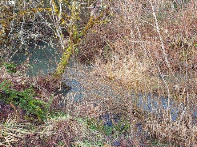 0 Baldwin Road Camas Valley, OR 97416 - Photo 12 of 16
