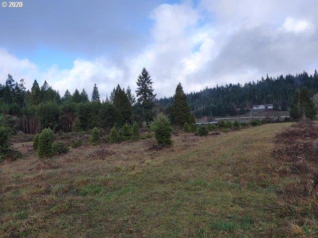 0 Baldwin Road Camas Valley, OR 97416 - Photo 15 of 16