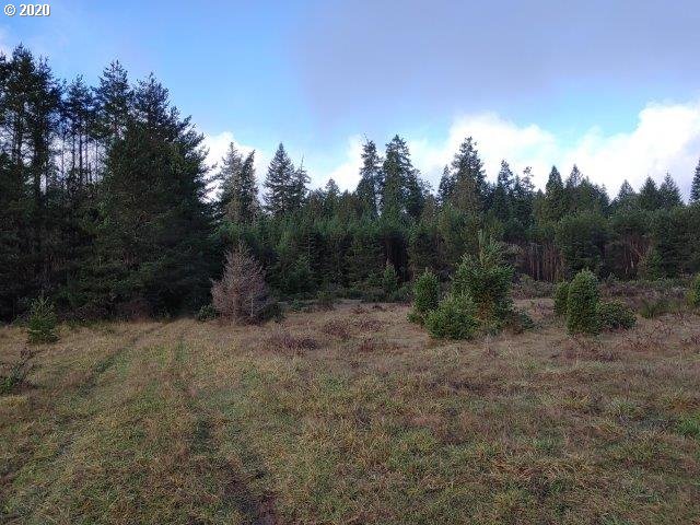 0 Baldwin Road Camas Valley, OR 97416 - Photo 16 of 16