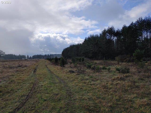 0 Baldwin Road Camas Valley, OR 97416 - Photo 4 of 16
