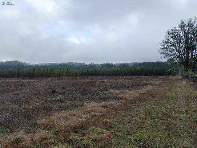0 Baldwin Road Camas Valley, OR 97416 - Photo 6 of 16