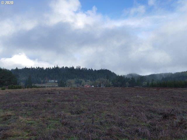 0 Baldwin Road Camas Valley, OR 97416 - Photo 7 of 16