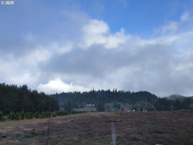0 Baldwin Road Camas Valley, OR 97416 - Photo 8 of 16