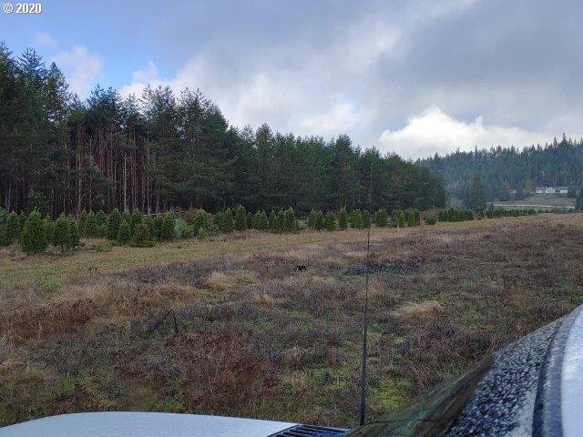 0 Baldwin Road Camas Valley, OR 97416 - Photo 9 of 16