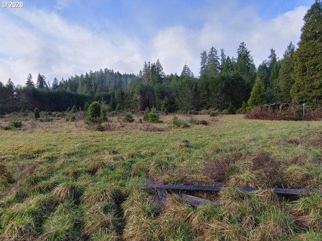 0 Baldwin Road Camas Valley, OR 97416 - Photo 10 of 16