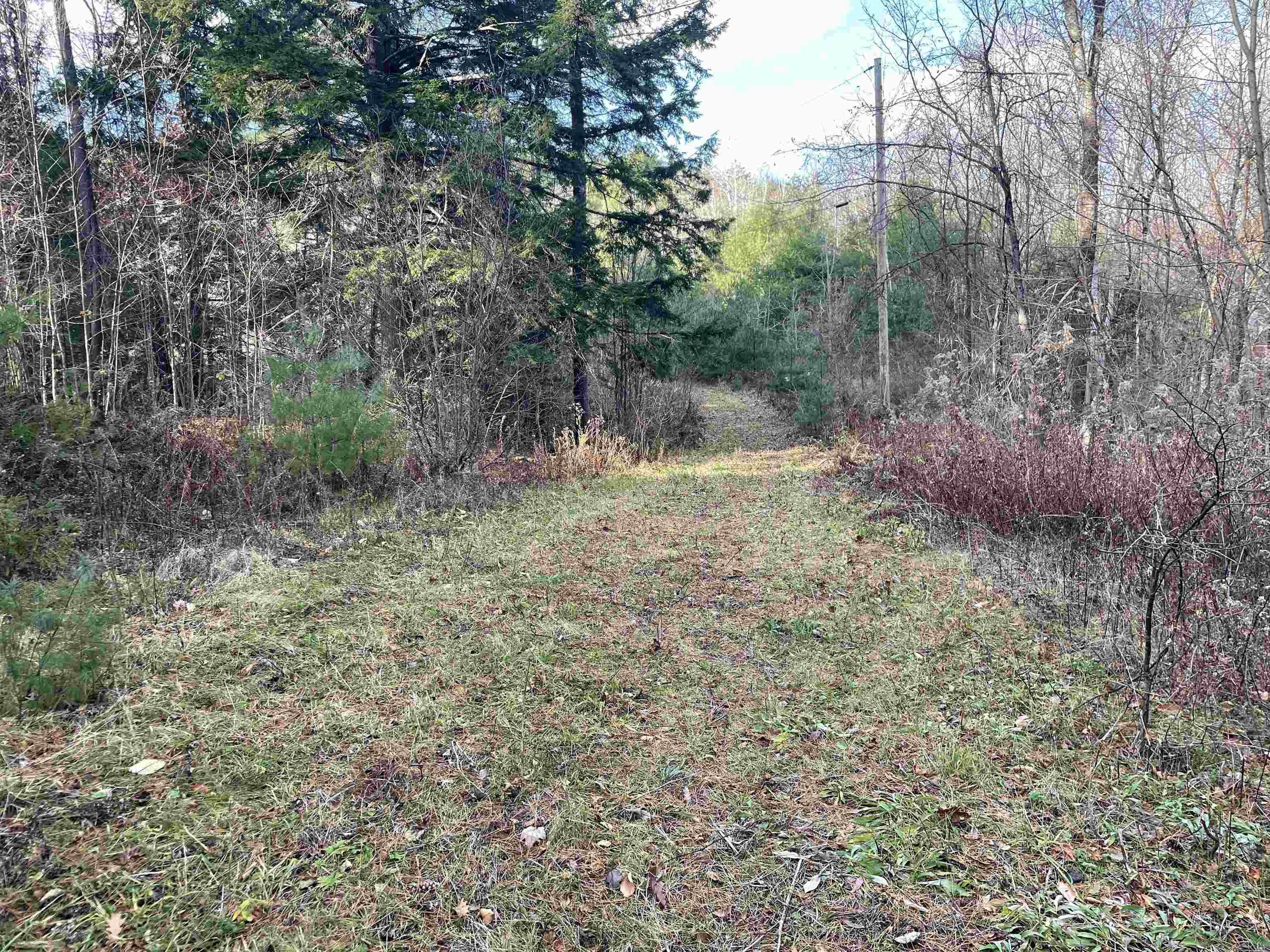0 Yale Heights Road Brownsville, VT 05037 - Photo 2 of 10 Gallery Image 2