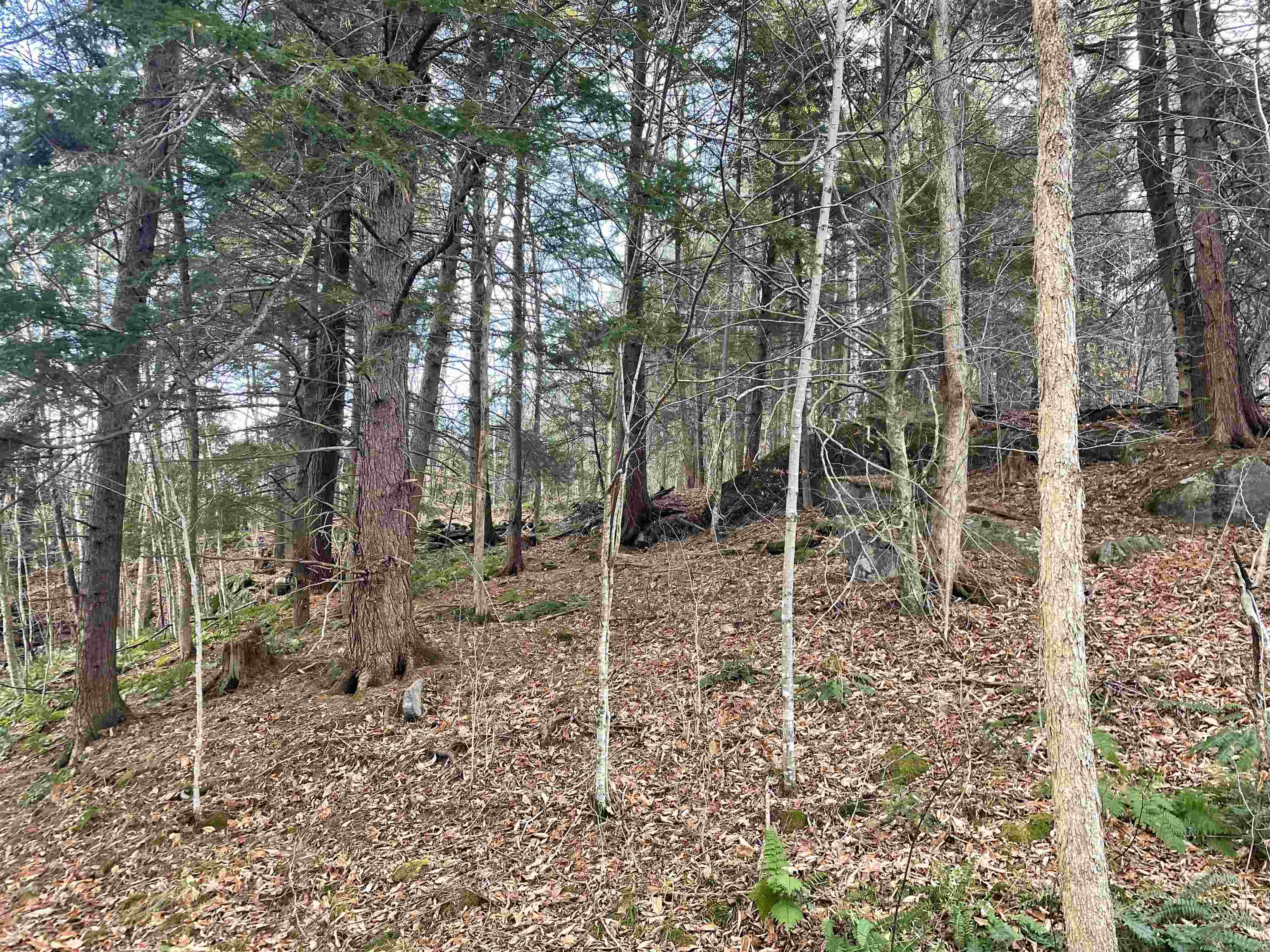 0 Yale Heights Road Brownsville, VT 05037 - Photo 3 of 10 Gallery Image 3