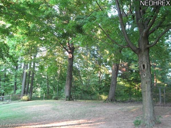 29919 Georgetown Road Salem, OH 44460 - Photo 2 of 4