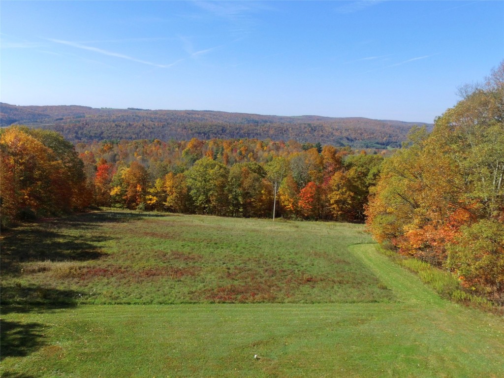 235 Dominic Road Candor, NY 13743 - Photo 14 of 50 Gallery Image 14