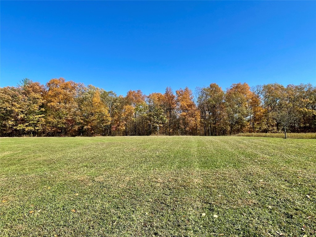 235 Dominic Road Candor, NY 13743 - Photo 45 of 50 Gallery Image 45