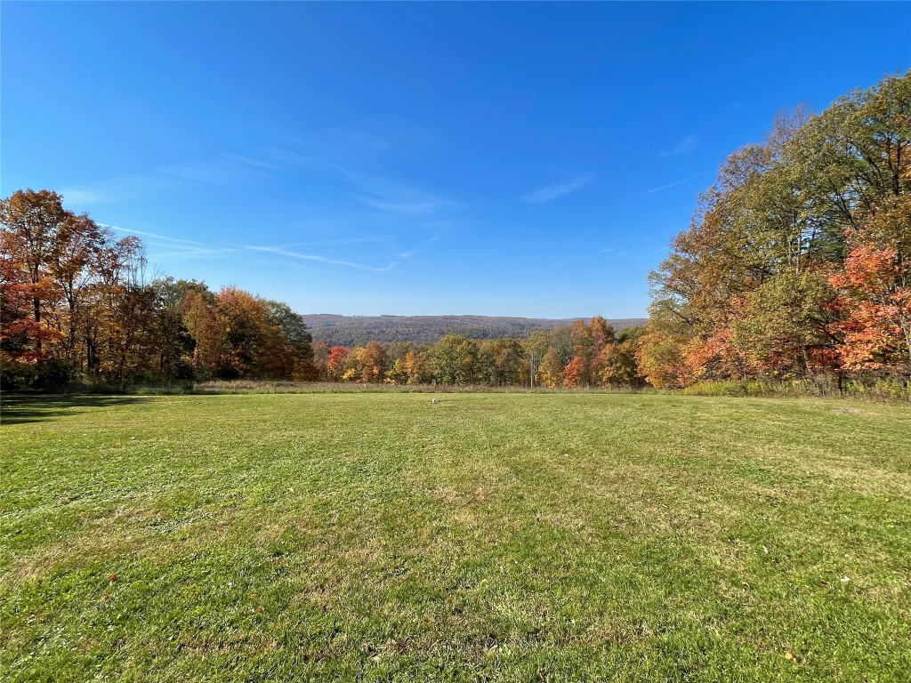 235 Dominic Road Candor, NY 13743 - Photo 7 of 50 Gallery Image 7