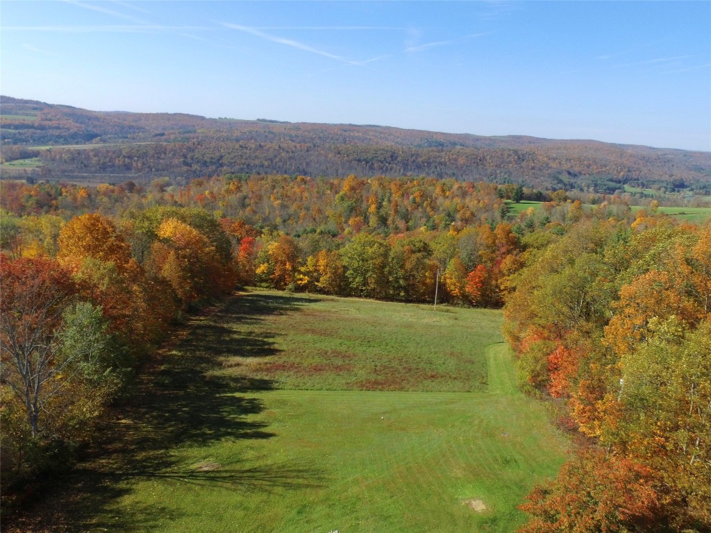 235 Dominic Road Candor, NY 13743 - Photo 8 of 50 Gallery Image 8