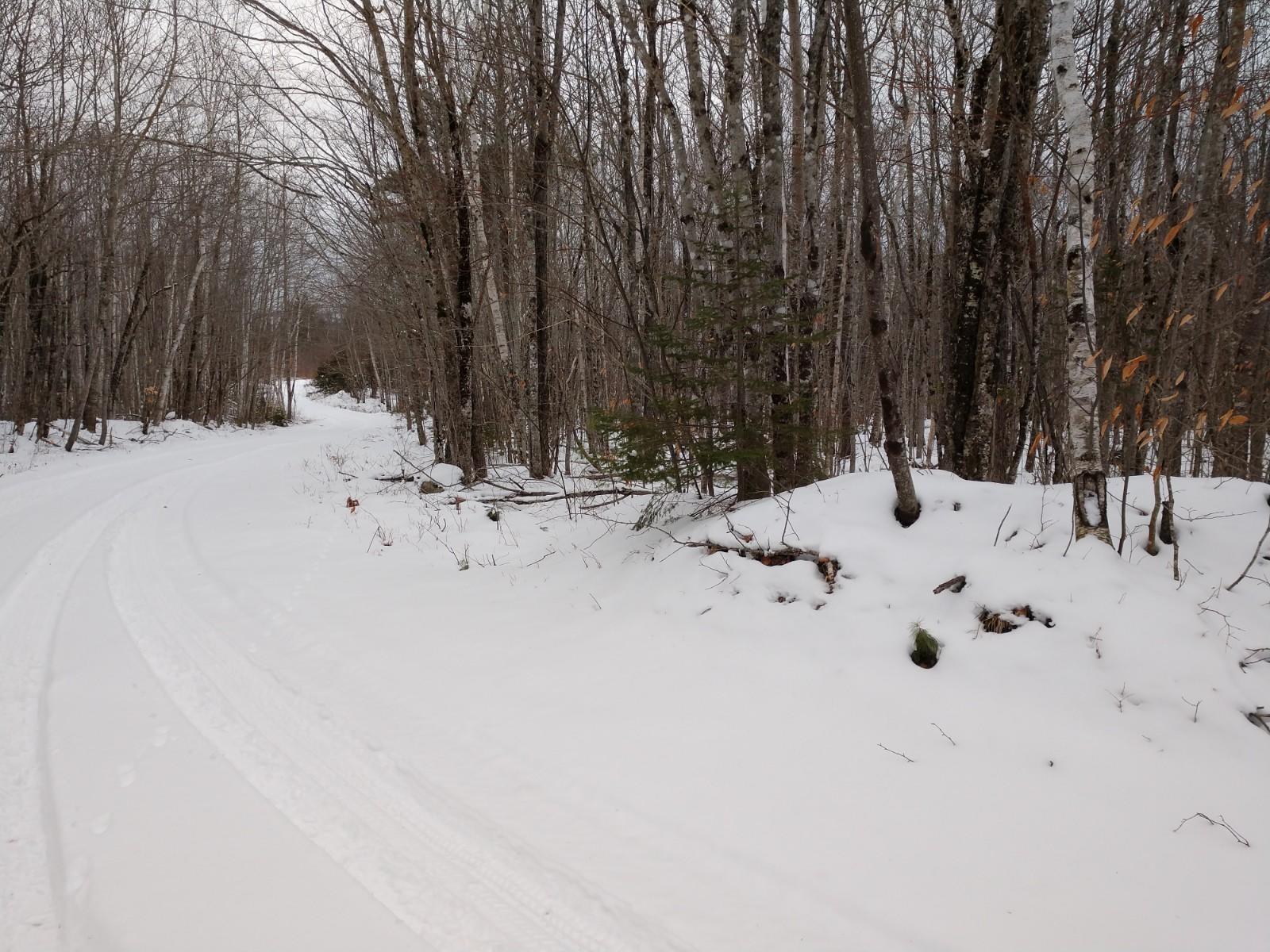Lot 24 Hardwood Ridge Road Deblois, ME 04622 - Photo 7 of 8 IMG_20200110_103453171 (1)