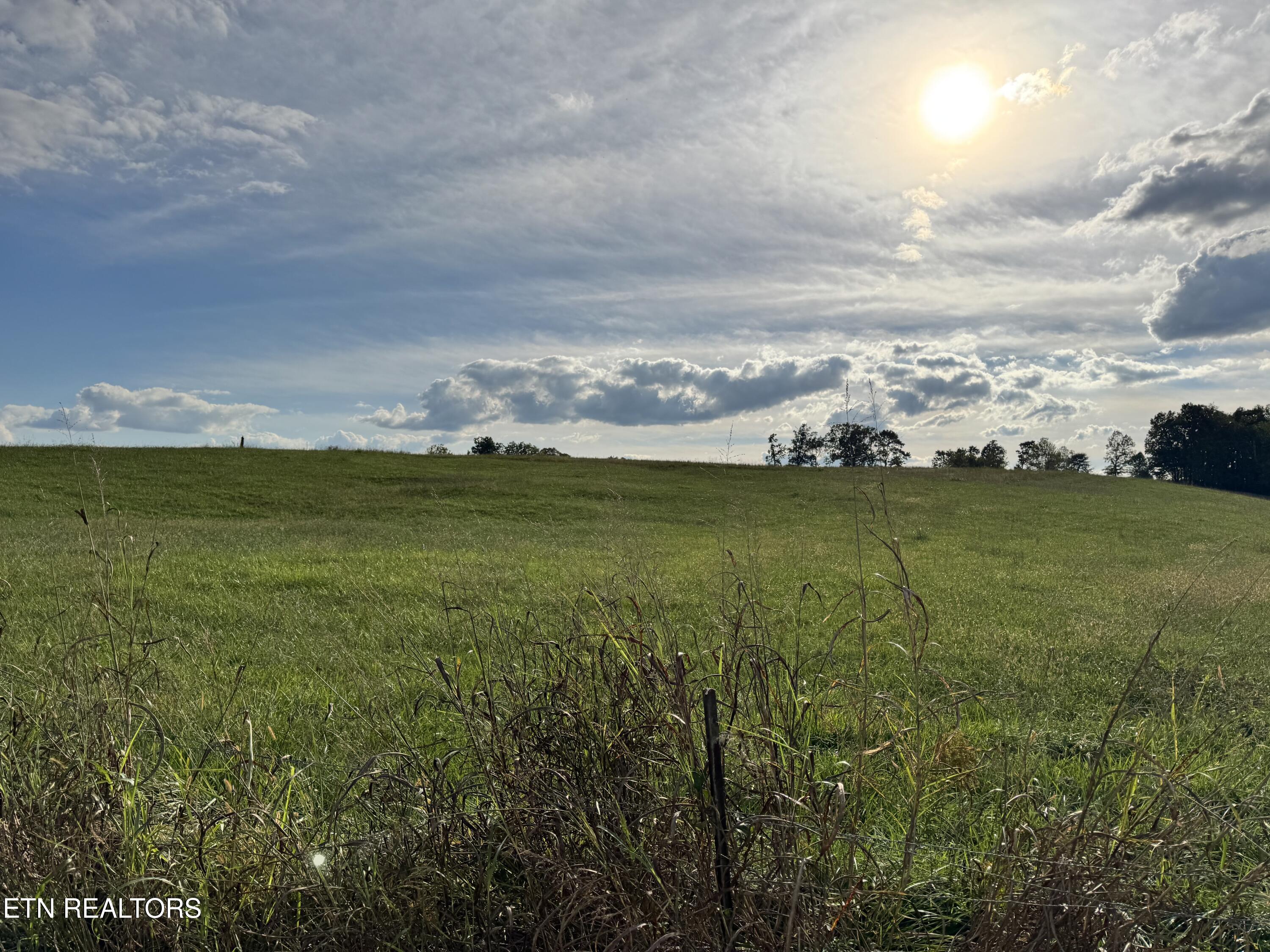 Odell Jolly Road Monroe, TN 38573 - Photo 2 of 9 IMG_4993
