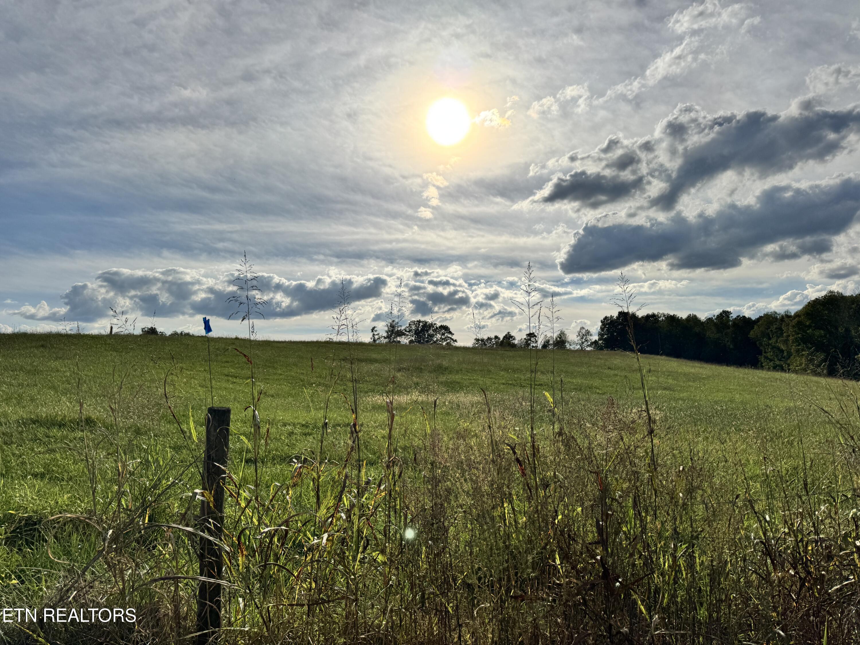 Odell Jolly Road Monroe, TN 38573 - Photo 3 of 9 IMG_4992