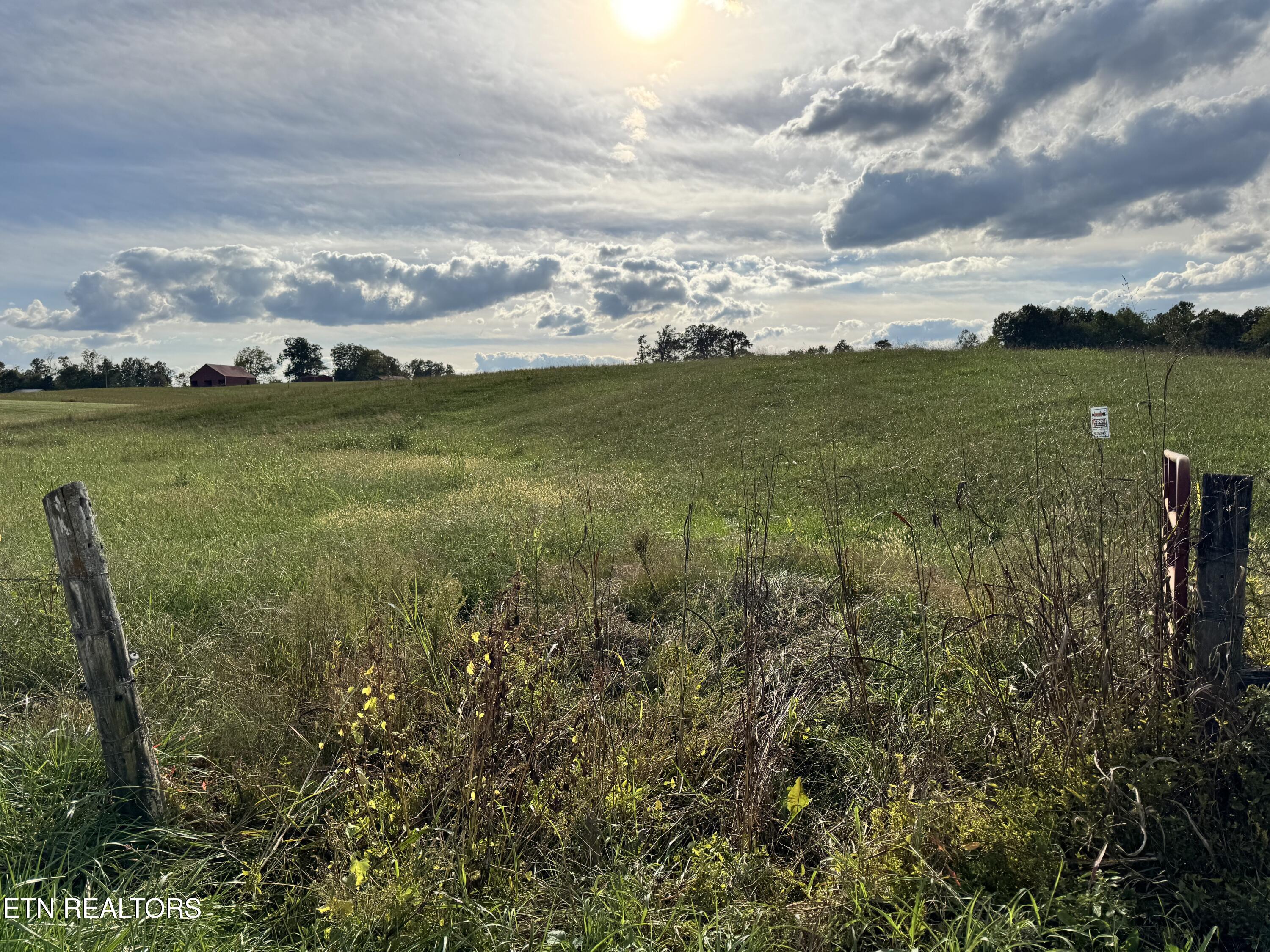 Odell Jolly Road Monroe, TN 38573 - Photo 4 of 9 IMG_4991